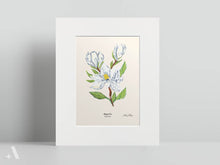 Load image into Gallery viewer, US State Flowers / Small Art Prints