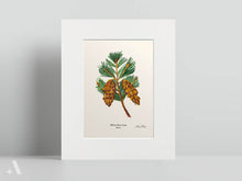 Load image into Gallery viewer, US State Flowers / Small Art Prints