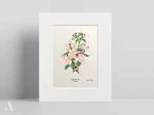 Load image into Gallery viewer, US State Flowers / Small Art Prints