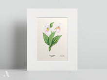 Load image into Gallery viewer, US State Flowers / Small Art Prints