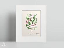 Load image into Gallery viewer, US State Flowers / Small Art Prints