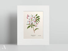 Load image into Gallery viewer, US State Flowers / Small Art Prints