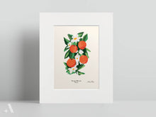 Load image into Gallery viewer, US State Flowers / Small Art Prints