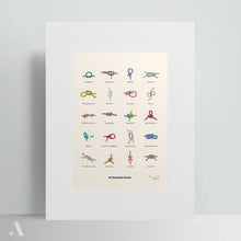 Load image into Gallery viewer, Essential Knots / Poster Art Print