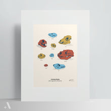 Load image into Gallery viewer, Animal Skulls of Appalachia / Poster Art Print
