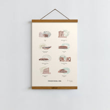 Load image into Gallery viewer, Ancient Arenas of Italy / Poster Art Print
