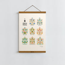 Load image into Gallery viewer, Alpine States / Poster Art Print