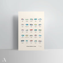 Load image into Gallery viewer, Soccer Stadiums of Europe / Poster Art Print