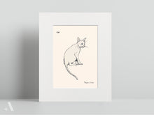 Load image into Gallery viewer, Park Animals of Milan / Small Art Prints