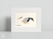 Load image into Gallery viewer, Game Animals of Pennsylvania / Small Art Prints