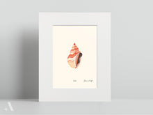 Load image into Gallery viewer, Shellfish / Small Art Prints