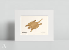 Load image into Gallery viewer, Dinosaurs of the Mesozoic Period / Small Art Prints