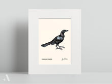 Load image into Gallery viewer, Birds of Pennsylvania / Small Art Prints