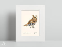 Load image into Gallery viewer, Birds of Pennsylvania / Small Art Prints