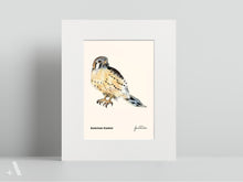 Load image into Gallery viewer, Birds of Pennsylvania / Small Art Prints