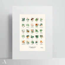 Load image into Gallery viewer, Forageable Plants of Pennsylvania / Poster Art Print