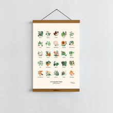 Load image into Gallery viewer, Forageable Plants of Pennsylvania / Poster Art Print