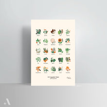 Load image into Gallery viewer, Forageable Plants of Pennsylvania / Poster Art Print