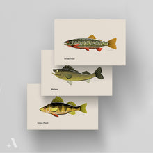 Load image into Gallery viewer, Common Fish of Pennsylvania / Small Art Prints