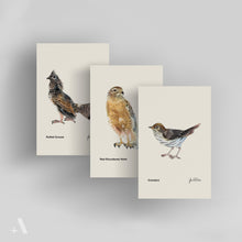 Load image into Gallery viewer, Birds of Pennsylvania / Small Art Prints