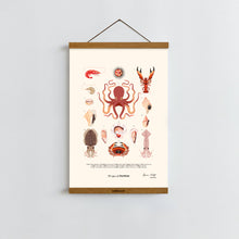 Load image into Gallery viewer, Shellfish / Poster Art Print