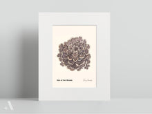 Load image into Gallery viewer, Mushrooms of Pennsylvania / Small Art Prints