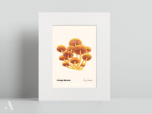 Load image into Gallery viewer, Mushrooms of Pennsylvania / Small Art Prints