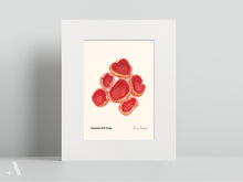 Load image into Gallery viewer, Mushrooms of Pennsylvania / Small Art Prints