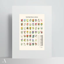 Load image into Gallery viewer, US State Flowers / Poster Art Print