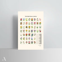 Load image into Gallery viewer, US State Flowers / Poster Art Print