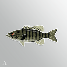 Load image into Gallery viewer, Common Fish of Pennsylvania / Stickers