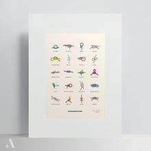 Load image into Gallery viewer, Essential Knots / Poster Art Print
