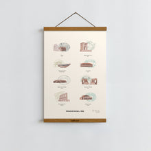 Load image into Gallery viewer, Ancient Arenas of Italy / Poster Art Print
