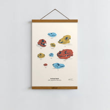 Load image into Gallery viewer, Animal Skulls of Appalachia / Poster Art Print
