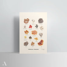 Load image into Gallery viewer, Mushrooms of Pennsylvania / Poster Art Print
