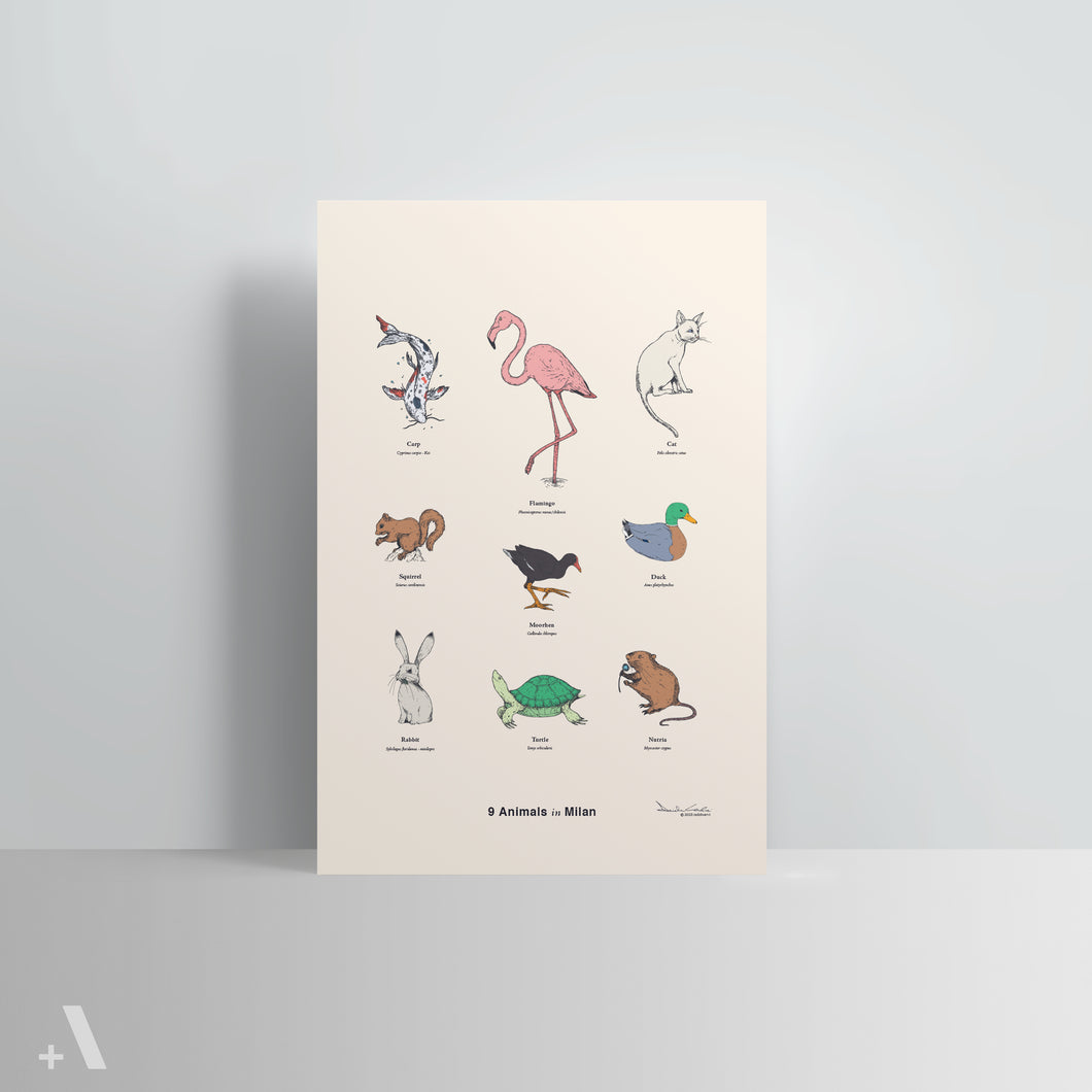 Park Animals of Milan / Poster Art Print