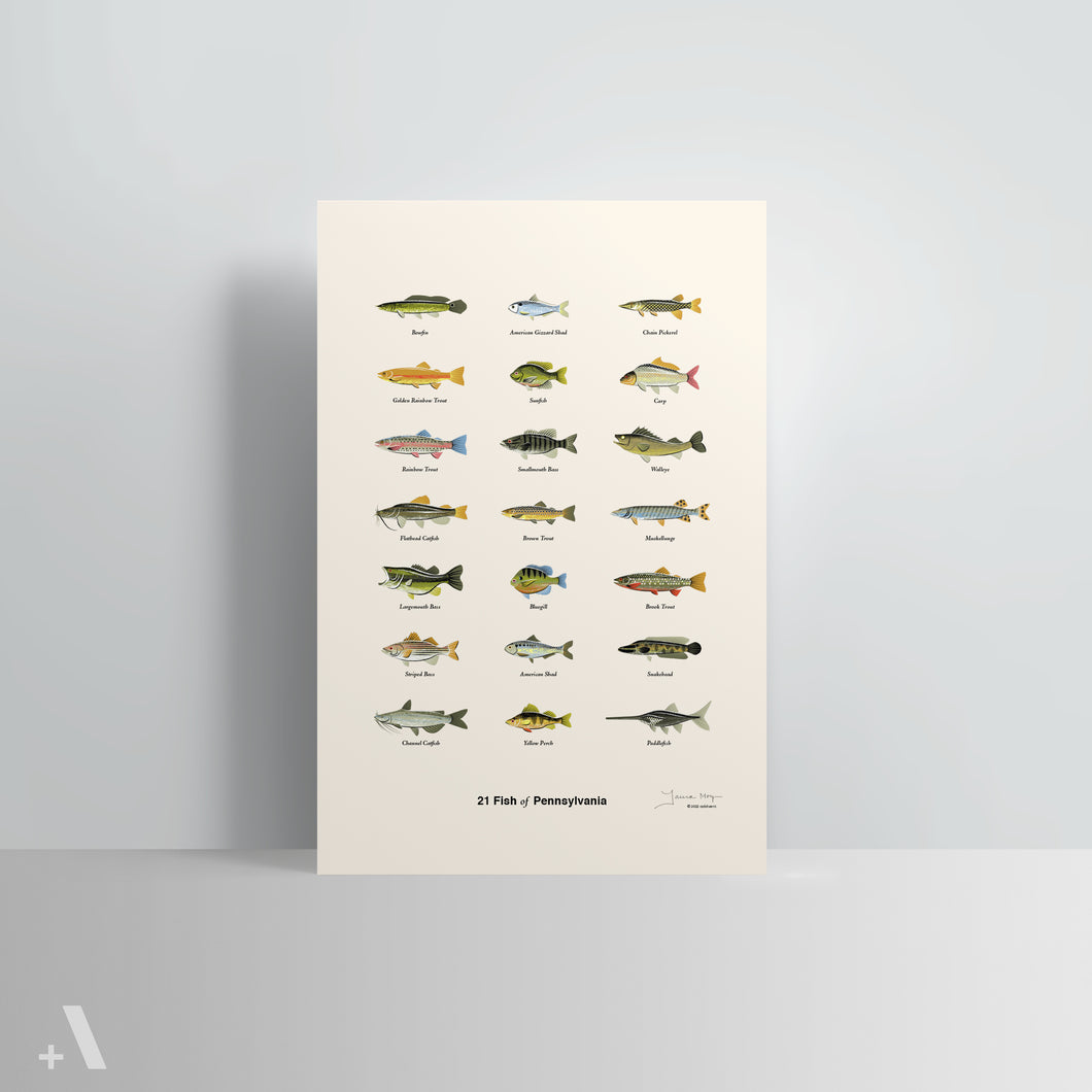 Common Fish of Pennsylvania / Poster Art Print