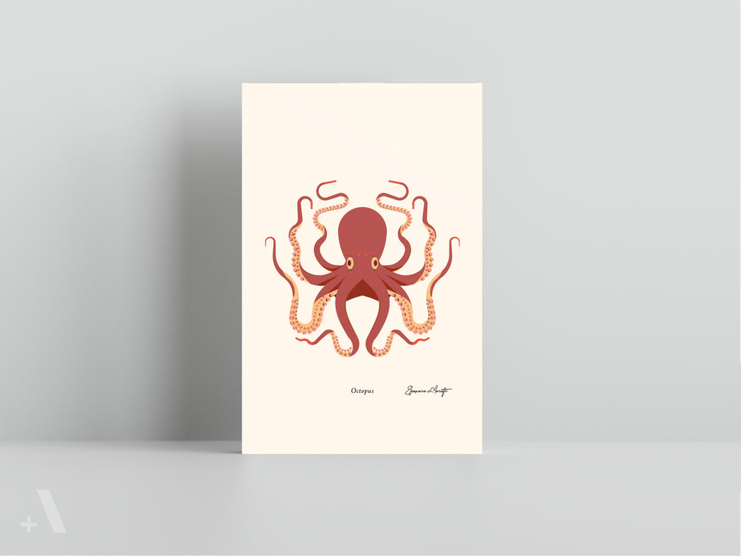 Shellfish / Small Art Prints