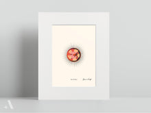 Load image into Gallery viewer, Shellfish / Small Art Prints
