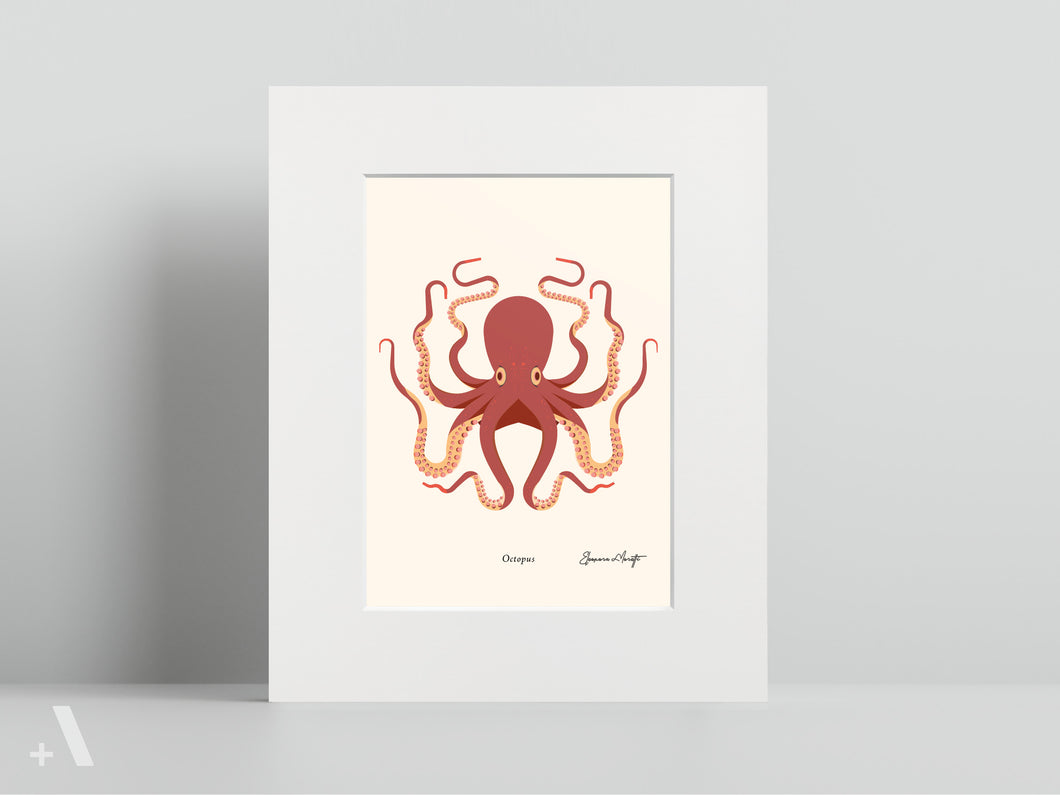 Shellfish / Small Art Prints