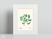 Load image into Gallery viewer, Forageable Plants of PA / Small Art Prints
