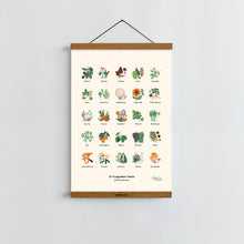 Load image into Gallery viewer, Forageable Plants of Pennsylvania / Poster Art Print
