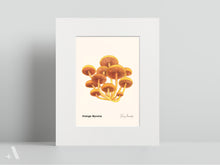 Load image into Gallery viewer, Mushrooms of Pennsylvania / Small Art Prints
