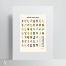 Load image into Gallery viewer, US State Flowers / Poster Art Print
