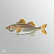 Load image into Gallery viewer, Common Fish of Pennsylvania  / Stickers
