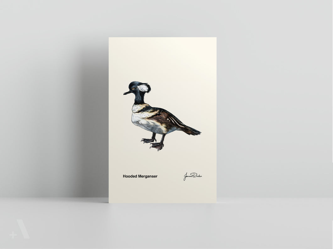 Birds of Pennsylvania / Small Art Prints