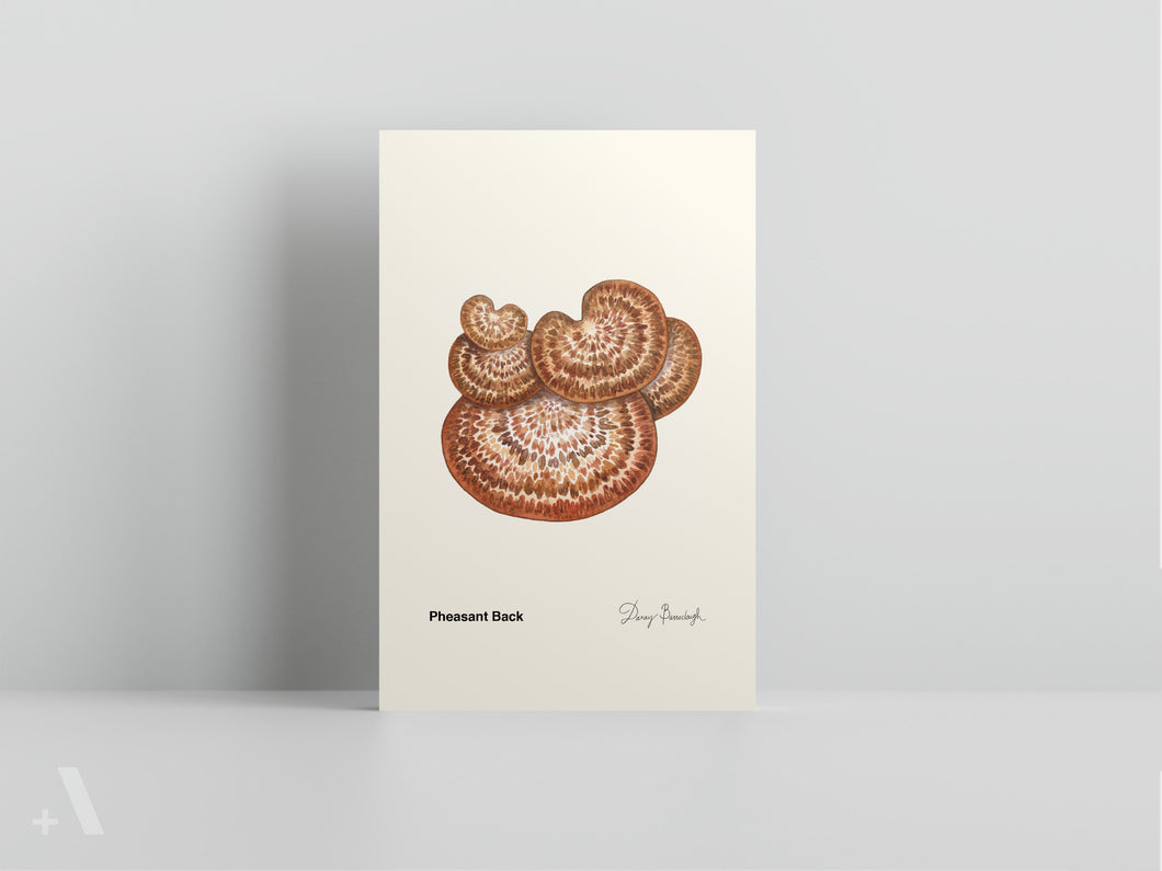 Mushrooms of Pennsylvania / Small Art Prints