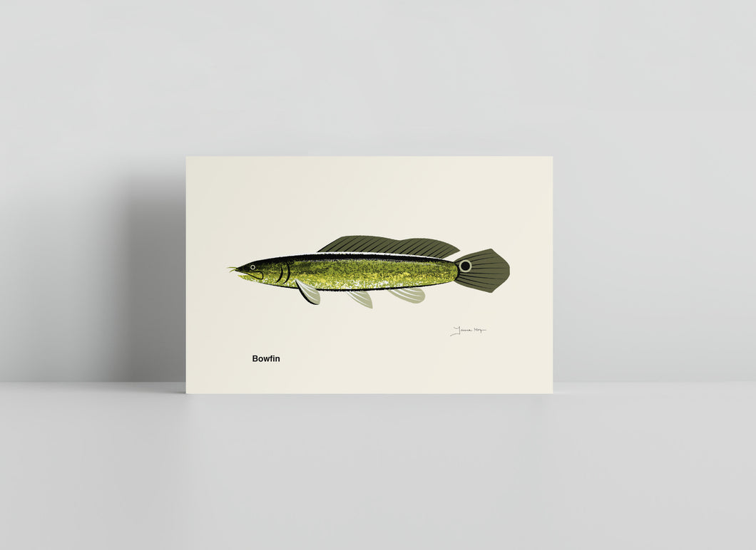 Common Fish of Pennsylvania / Small Art Prints